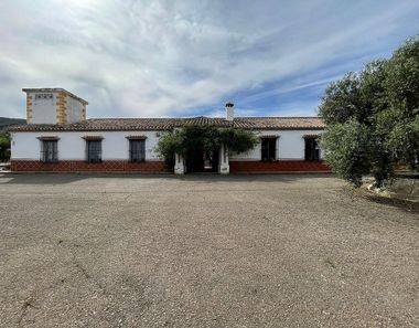 Foto 2 de Casa rural a Casco Histórico, Antequera