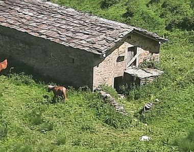 Foto 1 de Casa rural en Vega de Pas