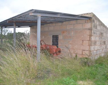 Foto 2 de Casa rural en Llubí