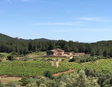 Foto 2 de Casa rural a Can Lloses - Can Marcer, Sant Pere de Ribes