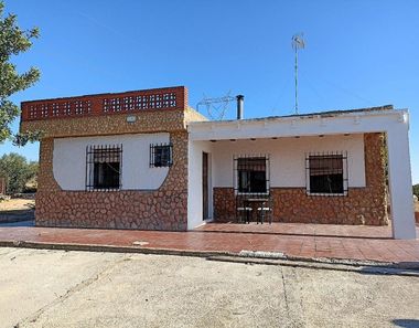 Foto 1 de Terreny a Los Felipes - Corral de Carmelo, Chiva