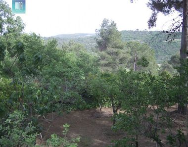 Foto 2 de Terreny a Sant Fruitós de Bages