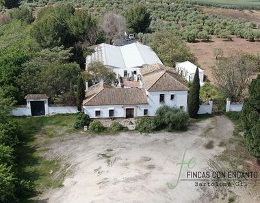 Foto 2 de Casa rural a carretera La Puebla de Cazalla Marchena Km a Marchena