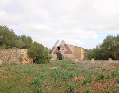 Foto 2 de Casa rural a Cales de Mallorca, Manacor