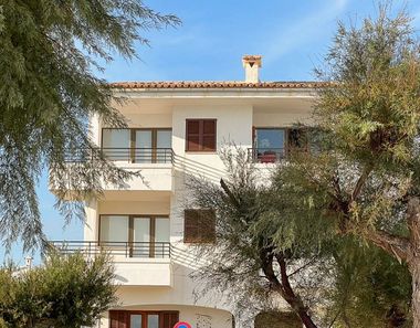 Foto 2 de Estudio en Son Serra de Marina, Santa Margalida