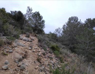 Foto 2 de Terreno en Alcossebre, Alcalà de Xivert