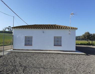 Foto 2 de Casa rural a Rural, Jerez de la Frontera
