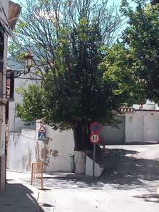 Foto 2 de Casa rural en plaza El Cabissol en Tibi