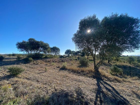 Foto 2 de Venta de terreno en Pedret i Marzà de 11402 m²