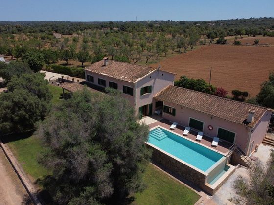 Foto 1 de Casa rural en venta en Sant Jordi - Son Ferriol de 5 habitaciones con terraza y piscina