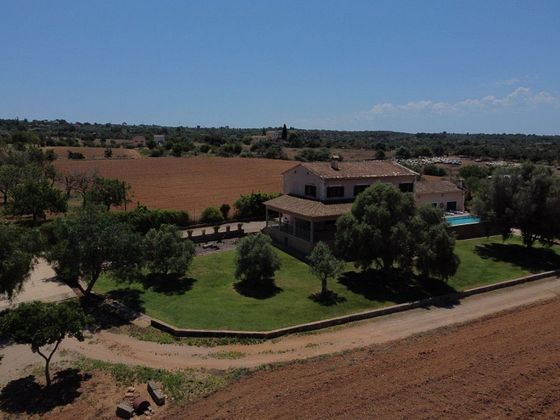 Foto 2 de Casa rural en venda a Sant Jordi - Son Ferriol de 5 habitacions amb terrassa i piscina