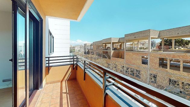 Foto 1 de Pis en lloguer a Amanecer - L'Olivera de 3 habitacions amb terrassa i garatge