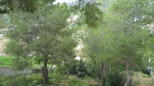 Foto 2 de Venta de terreno en Levantina - Montgavina - Quintmar de 561 m²