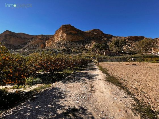 Foto 2 de Casa rural en venda a Cuevas del Almanzora pueblo de 2 habitacions amb piscina i jardí