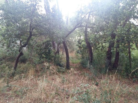 Foto 1 de Venta de terreno en Fogars de la Selva de 600 m²