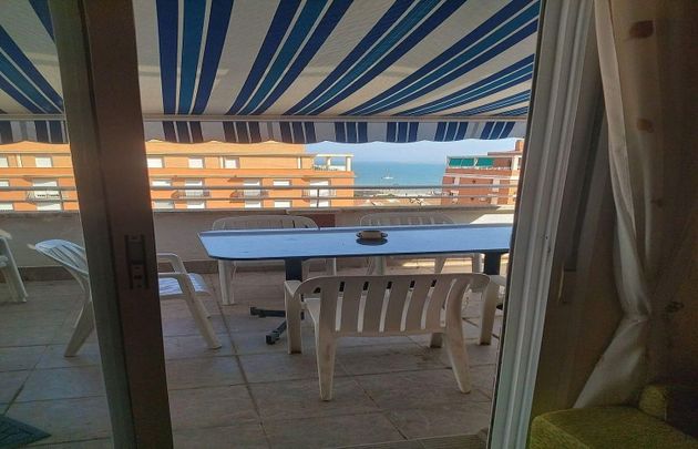 Foto 1 de Venta de ático en El Maset de 1 habitación con terraza y piscina