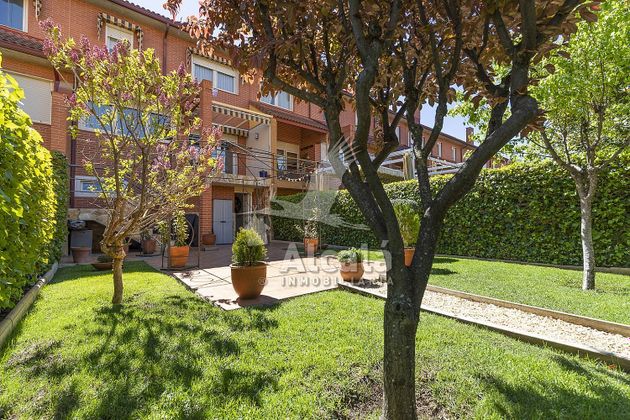 Foto 2 de Casa en venda a El Pilar - Bripac de 3 habitacions amb terrassa i piscina