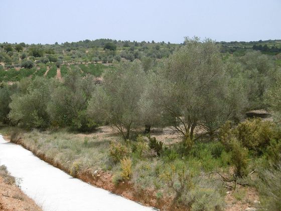 Foto 1 de Venta de terreno en Vall d´Alba de 7456 m²