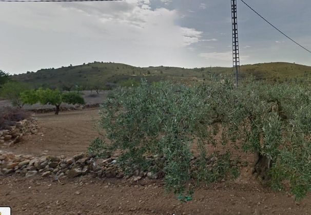 Foto 2 de Venta de terreno en Vall d´Alba de 3901 m²