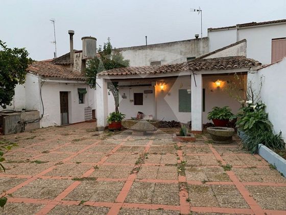 Foto 1 de Casa en venda a Solana de los Barros de 8 habitacions amb garatge
