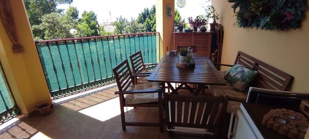 Foto 1 de Piso en venta en Los Pacos de 2 habitaciones con terraza y piscina