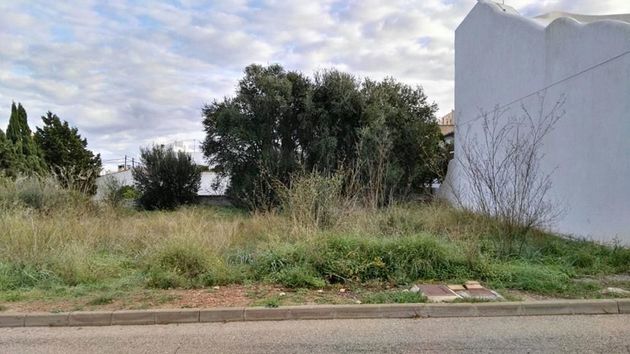Foto 1 de Venta de terreno en Colònia de Sant Pere de 240 m²