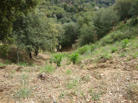 Foto 2 de Venta de terreno en Sant Cebrià de Vallalta de 1008 m²