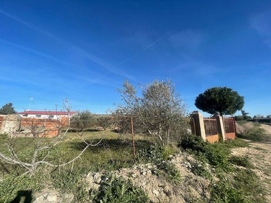 Foto 2 de Venta de terreno en Santa Cruz del Retamar pueblo de 852 m²