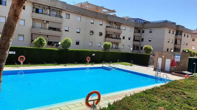 Foto 1 de Pis en lloguer a Este-Delicias de 1 habitació amb terrassa i piscina