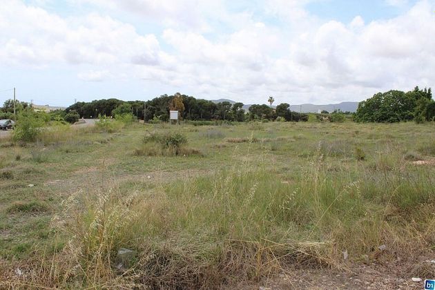 Foto 1 de Venta de terreno en Banyeres del Penedès de 5011 m²