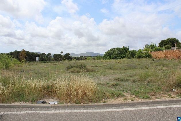 Foto 2 de Venta de terreno en Banyeres del Penedès de 5011 m²