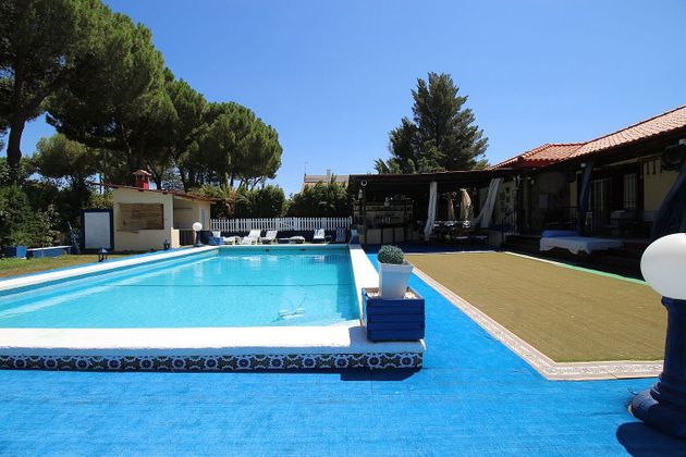 Foto 2 de Chalet en venta en calle Argamasilla de Calatrava Cidad Real de 3 habitaciones con terraza y piscina