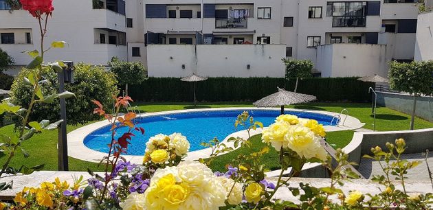 Foto 1 de Venta de piso en calle La Angelita de 2 habitaciones con terraza y piscina