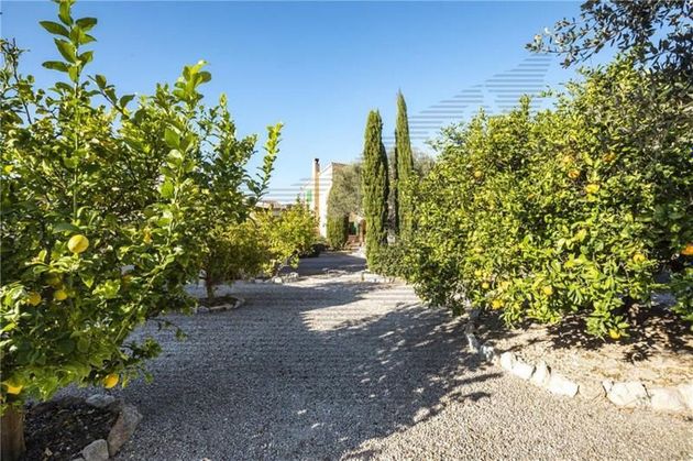 Foto 1 de Xalet en venda a Montuïri de 5 habitacions amb terrassa i jardí