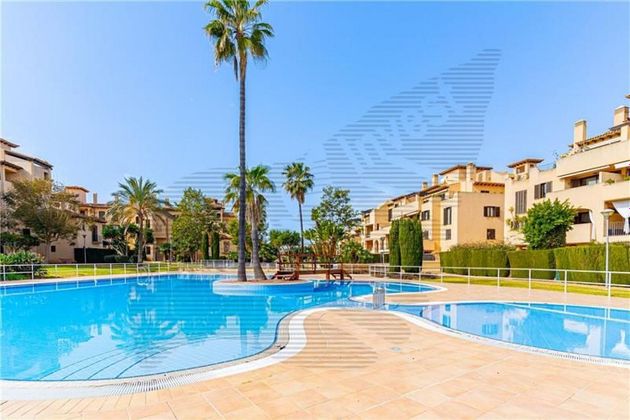 Foto 2 de Pis en venda a Maioris-Puig de Ros de 4 habitacions amb terrassa i piscina