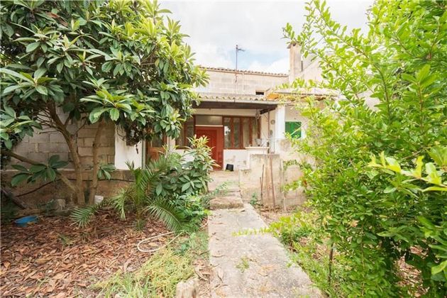 Foto 1 de Xalet en venda a Petra de 4 habitacions amb terrassa i jardí