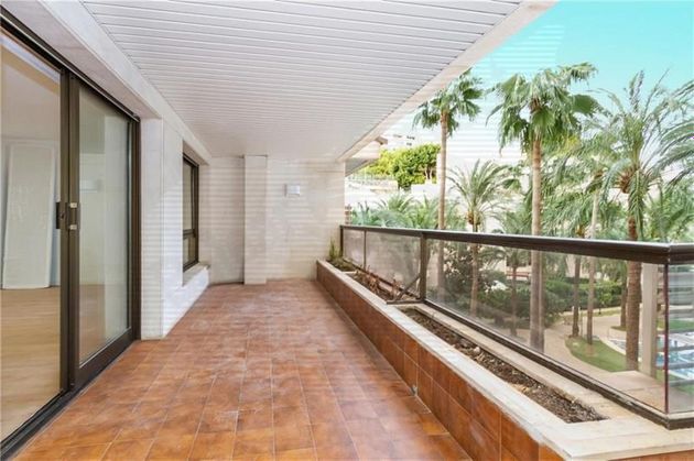 Foto 1 de Pis en lloguer a La Seu - Cort - Monti-sión de 3 habitacions amb terrassa i piscina