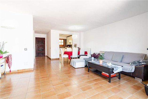 Foto 2 de Pis en venda a Bellver - Son Dureta- La Teulera de 3 habitacions amb terrassa i piscina