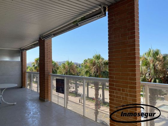 Foto 2 de Pis en venda a paseo De Jaume I de 3 habitacions amb terrassa i piscina