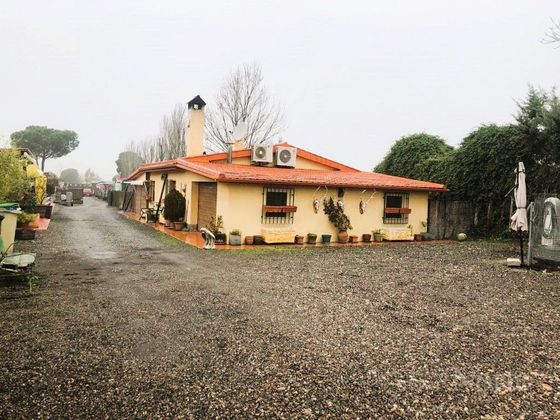 Foto 2 de Casa rural en venda a Fuente el Saz de Jarama de 3 habitacions amb piscina i garatge