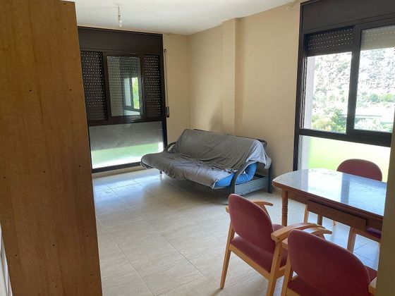 Foto 1 de Pis en lloguer a Riba, La de 2 habitacions amb mobles i balcó