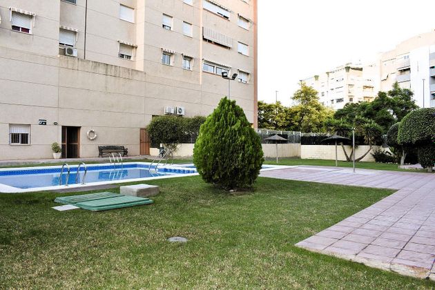 Foto 2 de Pis en venda a Carolinas Altas de 4 habitacions amb terrassa i piscina