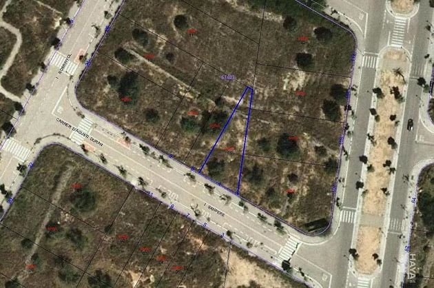 Foto 2 de Terreny en venda a Vendrell, El de 7108 m²
