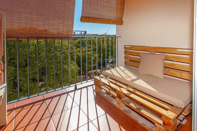 Foto 1 de Piso en venta en Noreste-Granja de 3 habitaciones con terraza y piscina