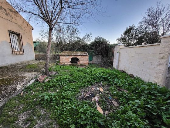 Foto 1 de Xalet en venda a Linares de 3 habitacions amb piscina i jardí