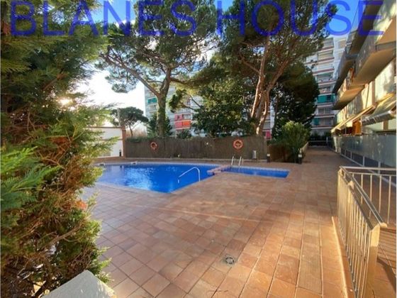 Foto 1 de Pis en venda a Els Pins de 1 habitació amb terrassa i piscina