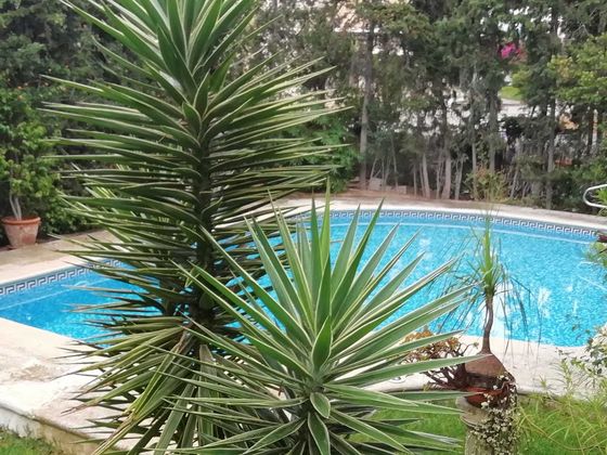 Foto 2 de Venta de chalet en Albufereta de 5 habitaciones con terraza y piscina