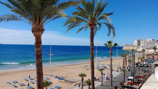 Foto 1 de Dúplex en venda a Playa de Levante de 4 habitacions amb terrassa i jardí