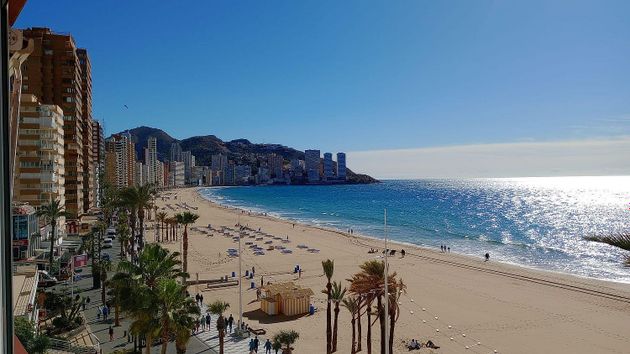 Foto 2 de Dúplex en venda a Playa de Levante de 3 habitacions amb terrassa i jardí