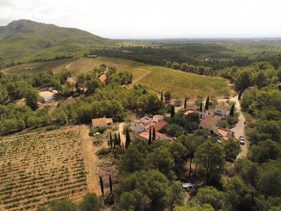 Foto 2 de Casa rural en venda a Tivissa de 11 habitacions amb terrassa i piscina